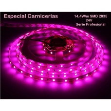 Tira LED Flexible 24V 14,4W/mt 180 Led/mt SMD 3528 IP20 Especial Carne Blanca, Serie Profesional, venta por metros